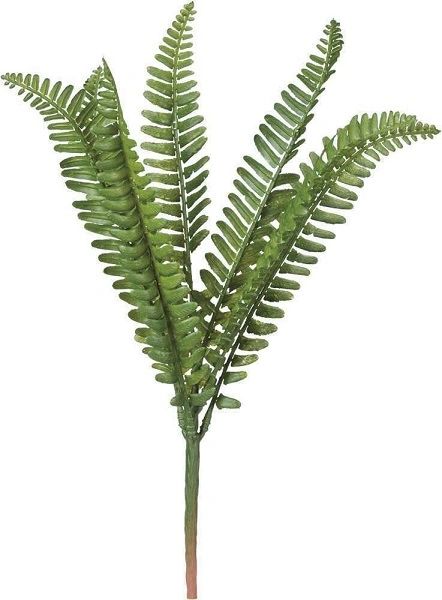 Floral Fern Pick/Spray | In The Berry Patch (The Berry Patch Gift Shop ...