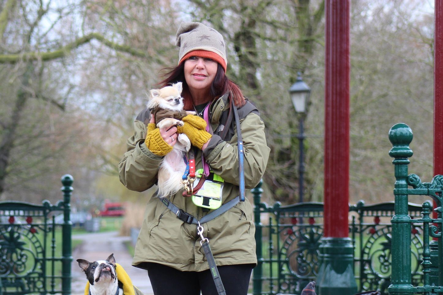 Clapham based dog walker, SW4. Reliable and trustworthy service.