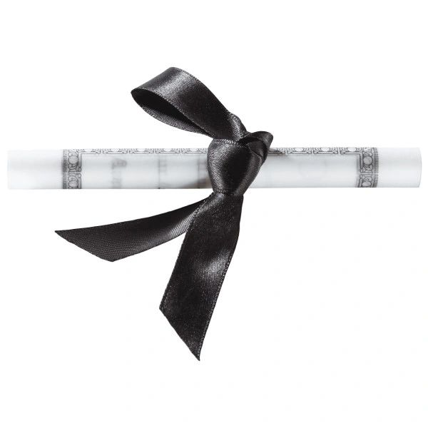 Graduation Paper Diploma Scroll 2 Sizes
