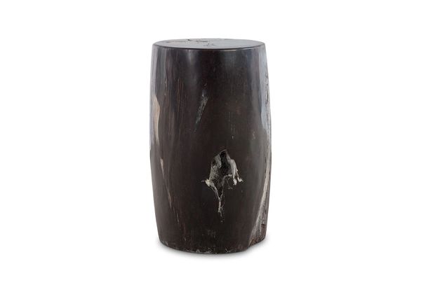 T1D Petrified Stool Round, Top Polish, SM