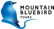 Mountain Bluebird Tours
