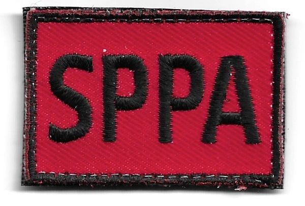 USAF PATCH 494 FIGHTER SQUADRON SPPA TAB RAF LAKENHEAH US AIR FORCE SQUADRON PATCH