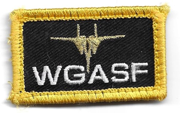 USAF PATCH 493 FIGHTER SQUADRON PENCIL TAB WGASF RAF LAKENHEATH F-15C US AIR FORCE SQUADRON PATCH