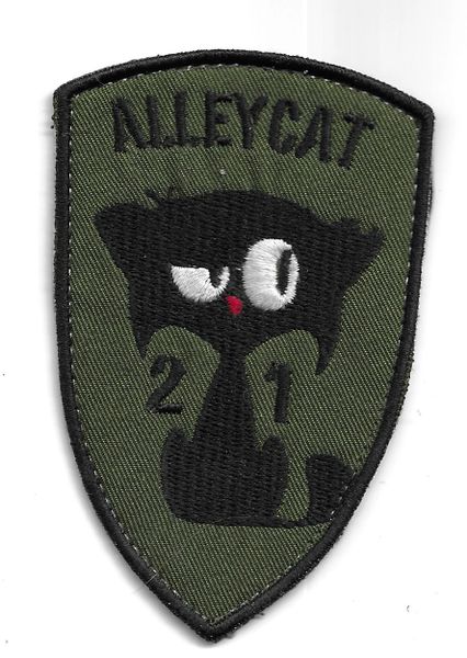RAF PATCH 1563 FLIGHT (230 SQUADRON A SECTION THE ALLEYCATS ) OPERATION TORAL KABUL AFGHANISTAN ROYAL AIR FORCE SQUADRON PATCH