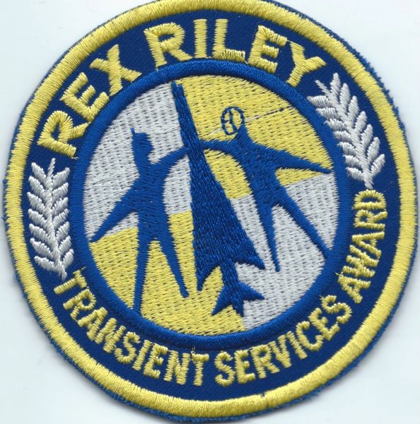 USAF PATCH REX RILEY TRANSIENT SERVICES AWARD UK P&M MADE