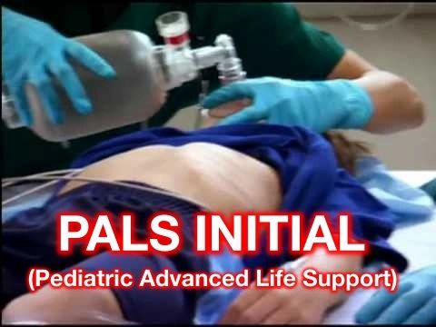 PALS Initial (Pediatric Advanced Cardiovascular Life Support) Call or text (713) 408-2934 to schedule