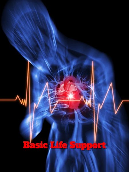 Basic Life Support For Healthcare (BLS) Initial Call or Text (713) 408-2934 to schedule. (You must be vaccinated for Covid 19 To attend class. )
