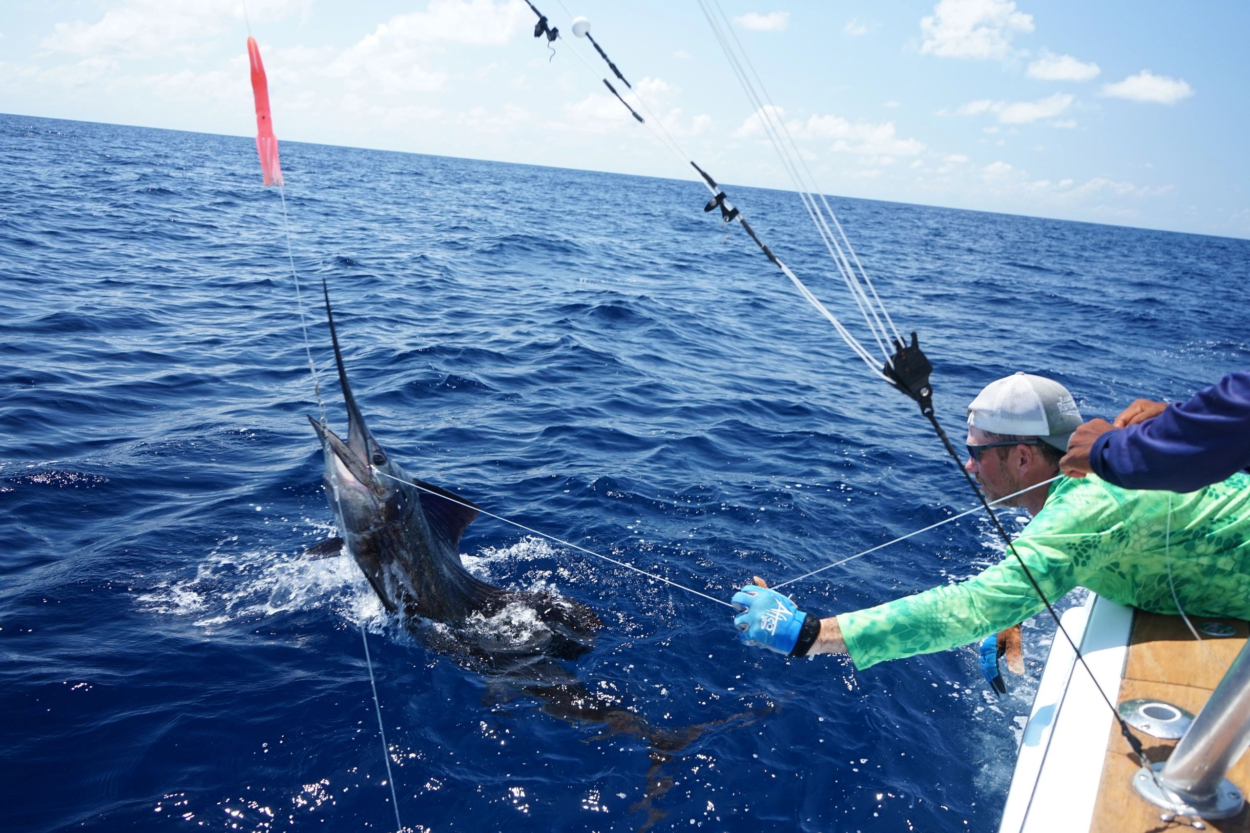 Sailfish Sport Fishing Costa Rica Herradura Jaco Los Sueños