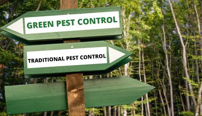 Green Pest Control Services
