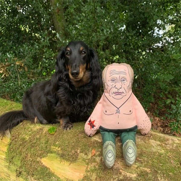 PUTIN Pet Hates Dog Toy