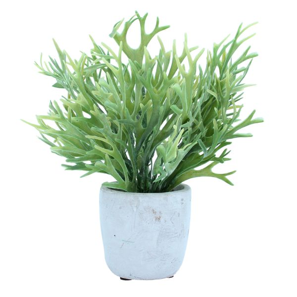 Potted Plant 24cm - Faux Staghorn