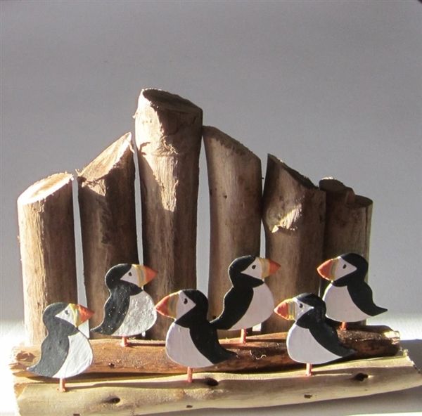 Six puffins with groynes