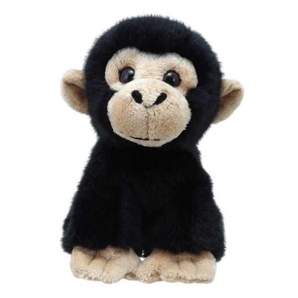 Wilberry Mini Chimp
