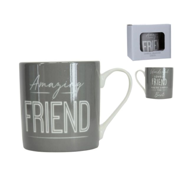 Amazing Friend Mug - Boxed