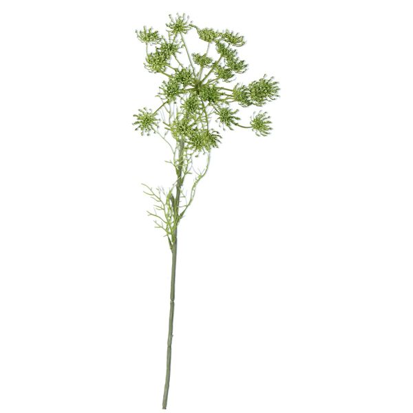 Stem 63cm Green Queen Annes Lace