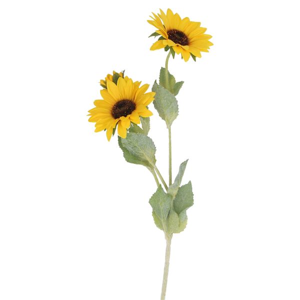 Stem 68cm - Multi Sunflower