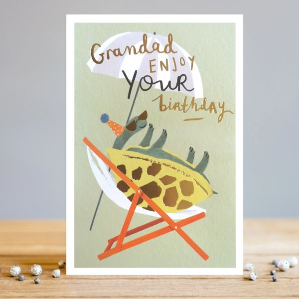 Grandad Birthday Turtle TS046