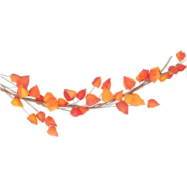 Orange Physalis Garland 1.4m