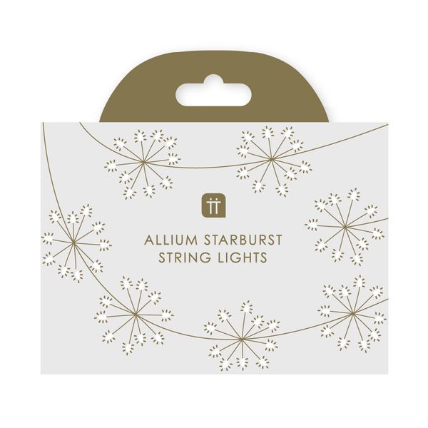 Botanical Mistletoe Allium Starburst LED String Lights - 2m