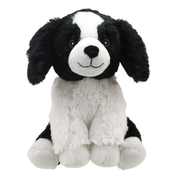 WULBERRY ECO - BOBBY BOARDER COLLIE