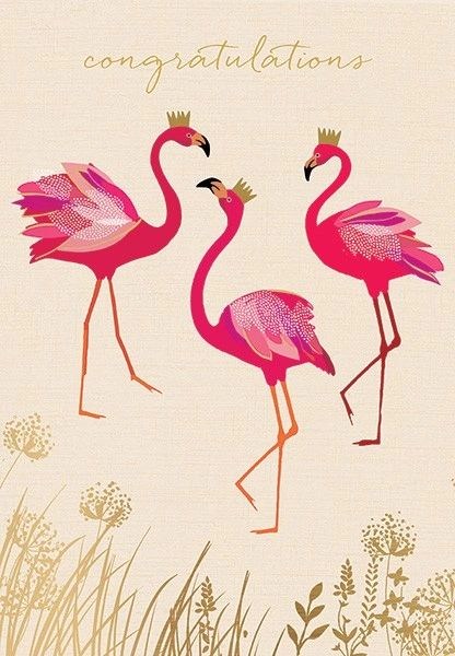 Congratulations Flamingos SAM32