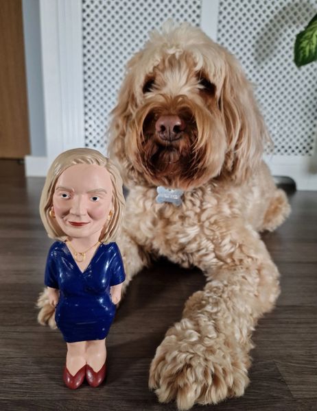 Truss'ty Dog Toy - Liz Truss