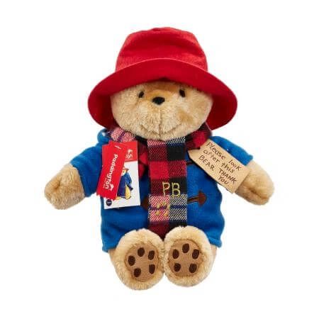 Large Cuddly Paddington Bear with Scarf