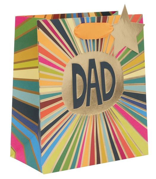 Multi Colour DAD gift bag - medium