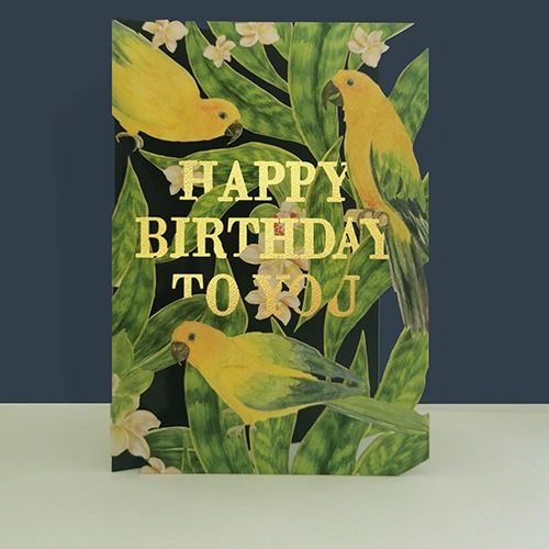 Birthday Parrots AL125