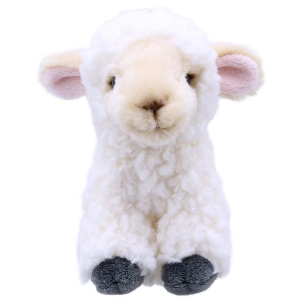 Wilberry Mini Lamb