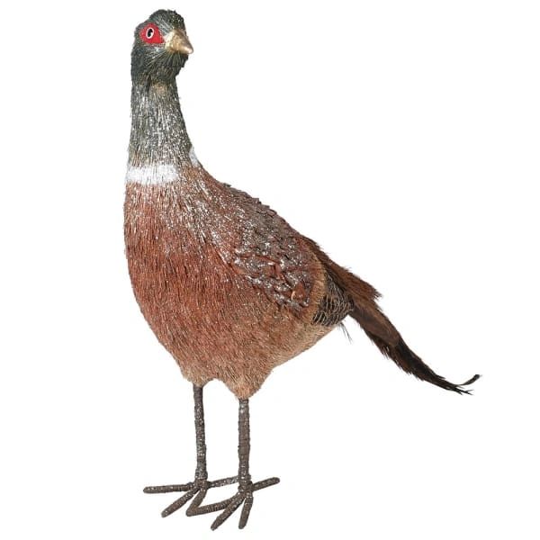 Brown Feather Pheasant - CLICK & COLLECT ONLY
