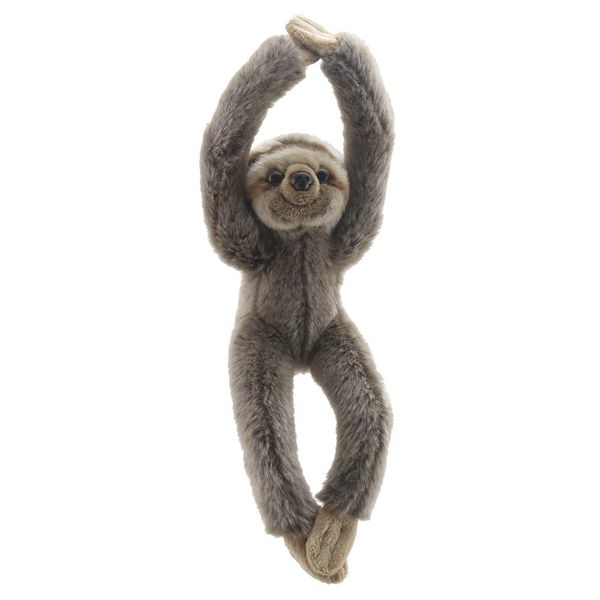 Sloth – Canopy Climbers