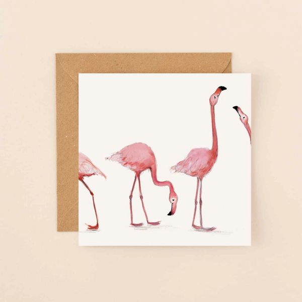 Flamingos - Blank - AB04