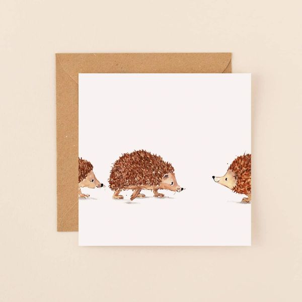 Hedgehogs - Blank - AB08
