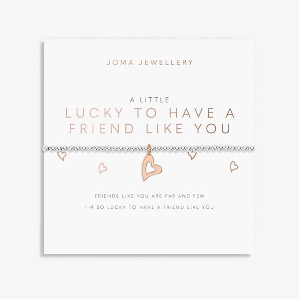A Little 'Lucky To Have A Friend Like You' Bracelet In Silver And Rose Gold Plating 7415