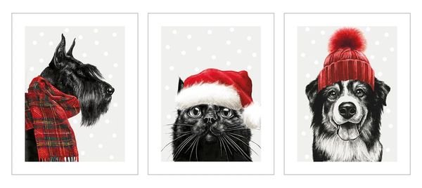 Christmas Animals Trio Card Pack TRIX24