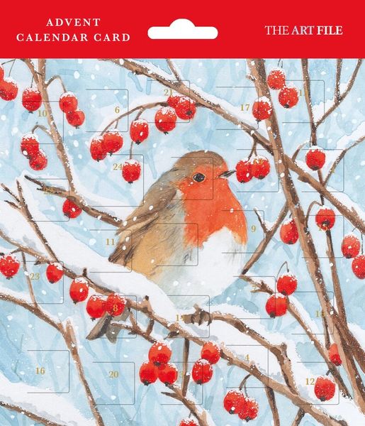 Robin Advent Card AVC17A