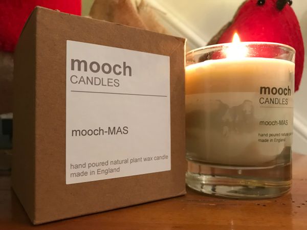 mooch CANDLES - 'mooch-MAS'