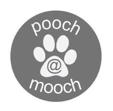 POOCH @ mooch more products COMING SOON!