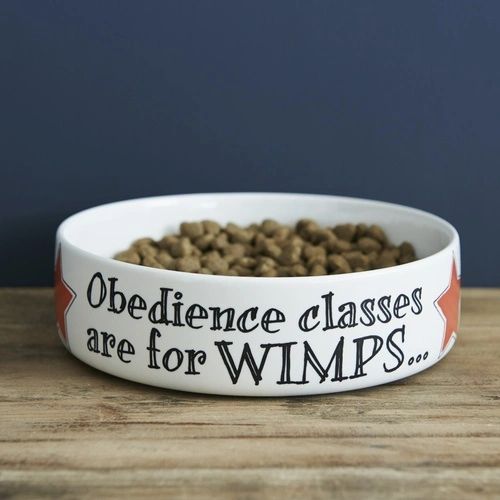 OBEDIENCE CLASSES ARE FOR WIMPS DOG BOWL - SMALL
