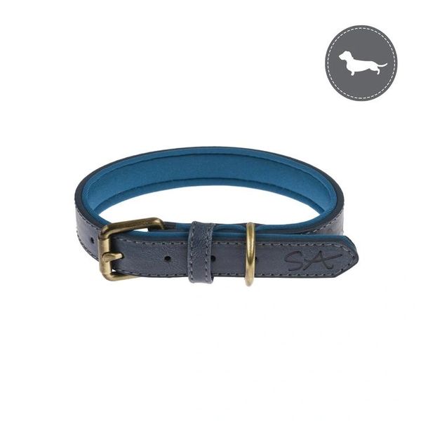 Teal Dog Collar - Dashound