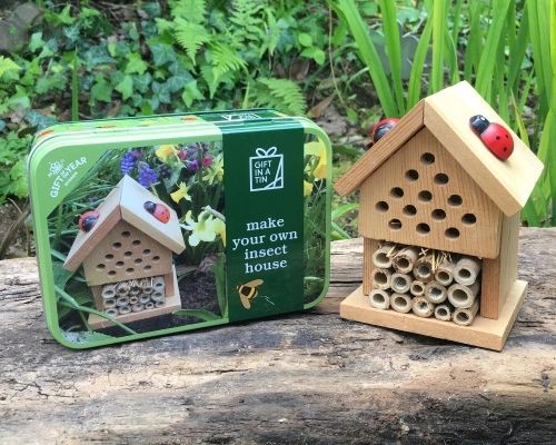 MAKE YOUR OWN INSECT HOUSE