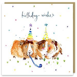 Guinea Pigs Birthday Card FF56