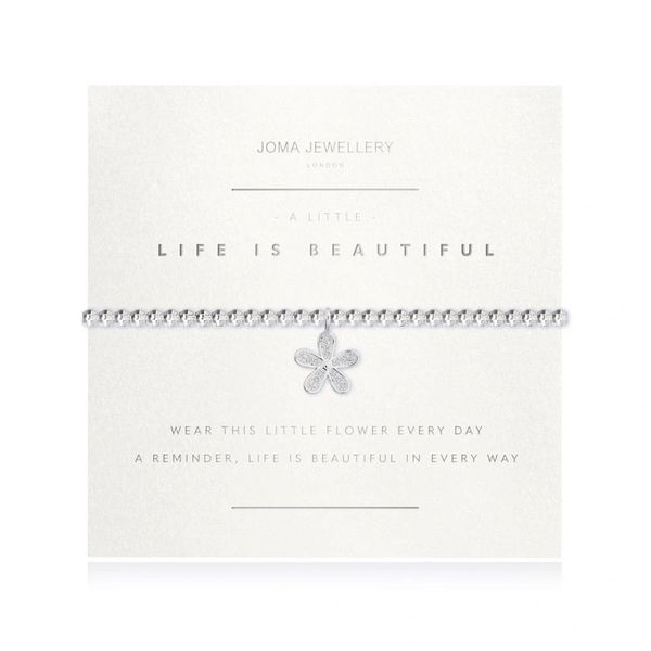 A LITTLE LIFE IS BEAUTIFUL