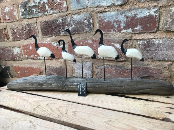 Five Shore Birds on driftwood