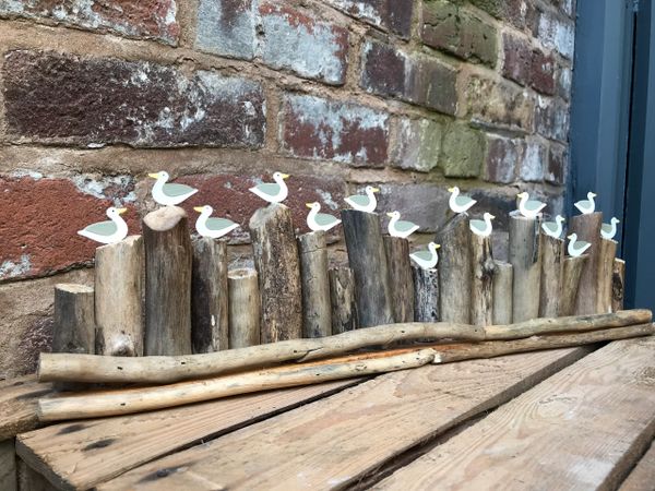 Seagulls on driftwood groynes