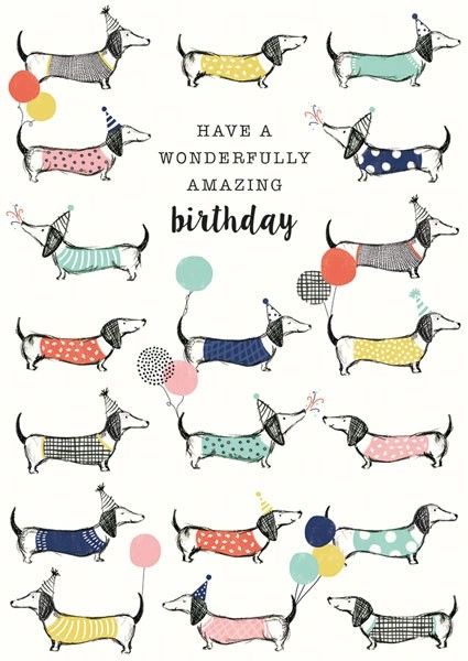 Multi Frank Sausage Dog Amazing Birthday NF15