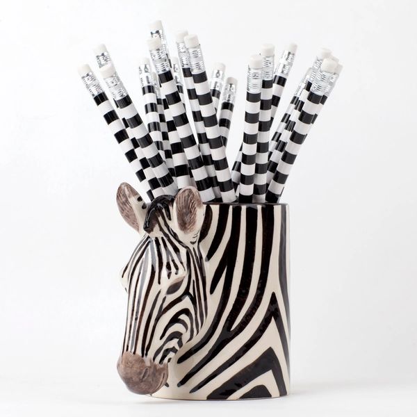 Zebra Pen Pot