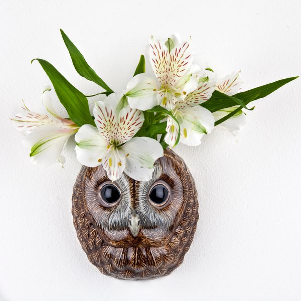 Small Tawny Owl Wall Vase by Quail