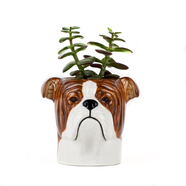 Bulldog Pen Pot by Quail